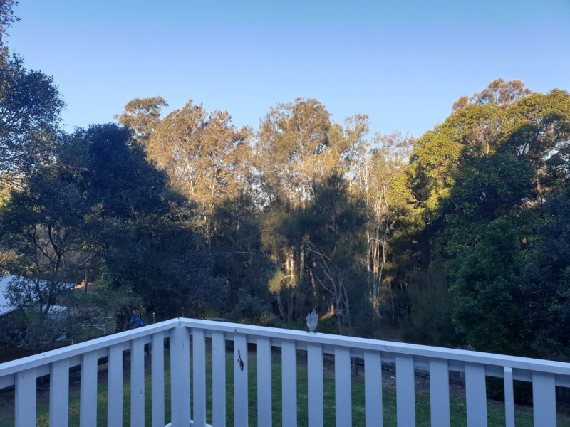 11 Flintwood Street, Pottsville NSW 2489