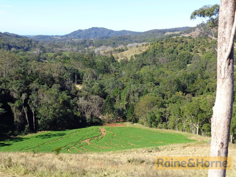 614 Upper Burringbar Road, Upper Burringbar NSW 2483