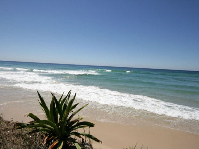 64 Elanora Avenue, Pottsville NSW 2489