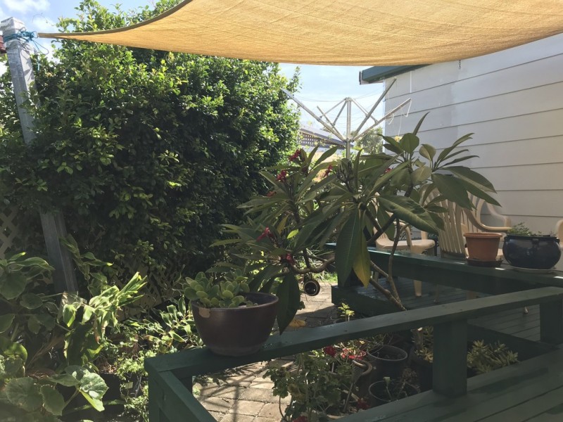 281 /1-3 Tweed Coast Road, Hastings Point NSW 2489