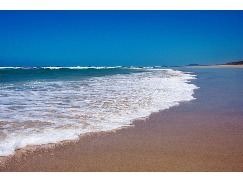 77 Elanora Avenue, Pottsville NSW 2489