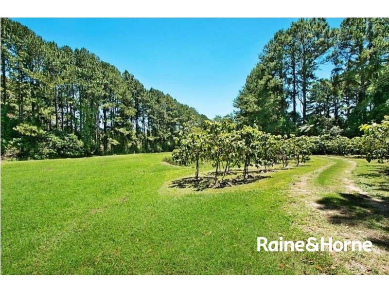 253 Palmvale Road, Palmvale NSW 2484