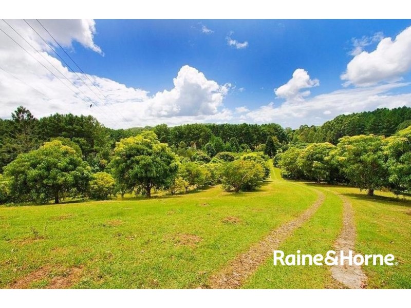 253 Palmvale Road, Palmvale NSW 2484