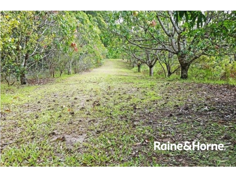 253 Palmvale Road, Palmvale NSW 2484