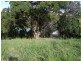 8/Lot 206 Roseash Court, Pottsville NSW 2489