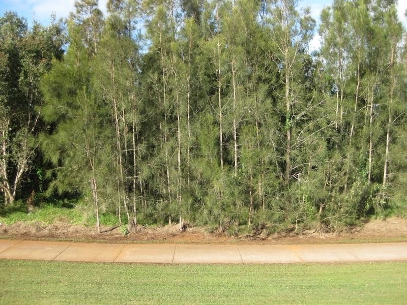 133 Overall Drive, Pottsville NSW 2489