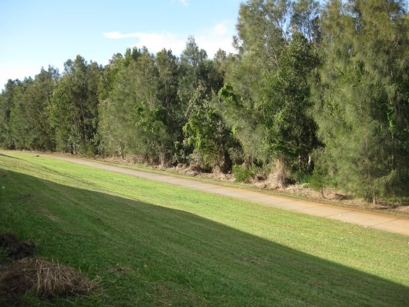 133 Overall Drive, Pottsville NSW 2489
