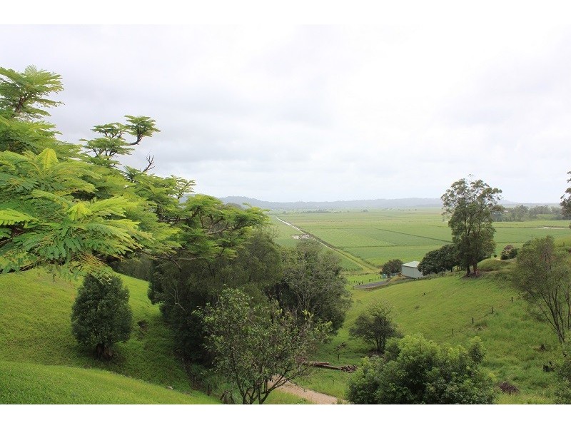 275 Clothiers Creek Road, Clothiers Creek NSW 2484