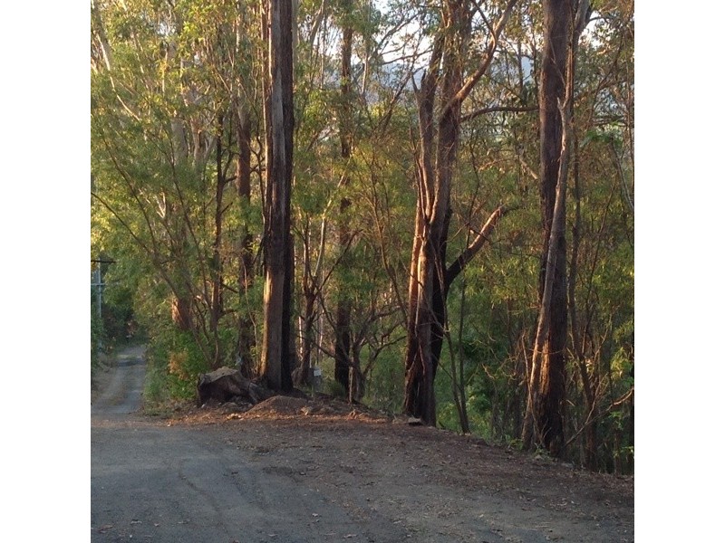 400 Clothiers Creek Road, Nunderi NSW 2484