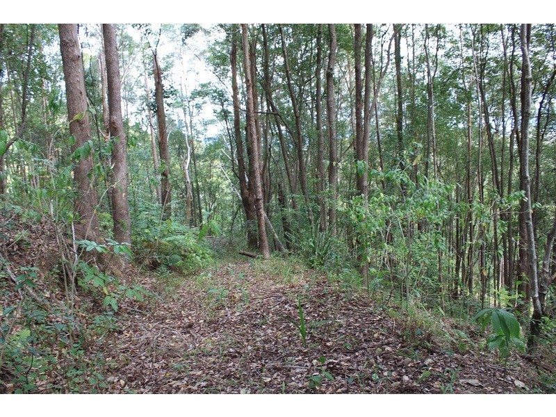 400 Clothiers Creek Road, Nunderi NSW 2484