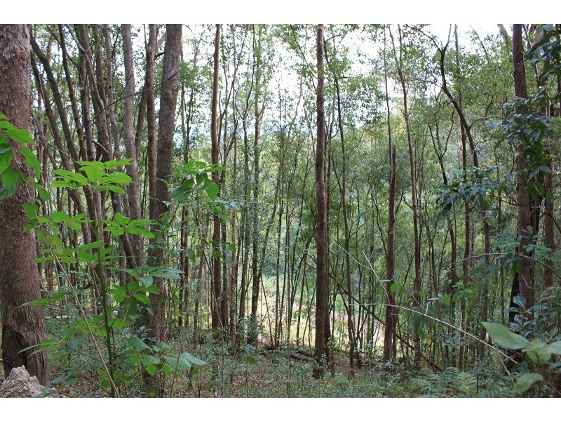 400 Clothiers Creek Road, Cabarita Beach NSW 2488