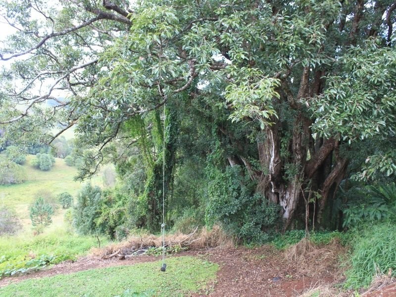 305 Duranbah Road, Duranbah NSW 2487