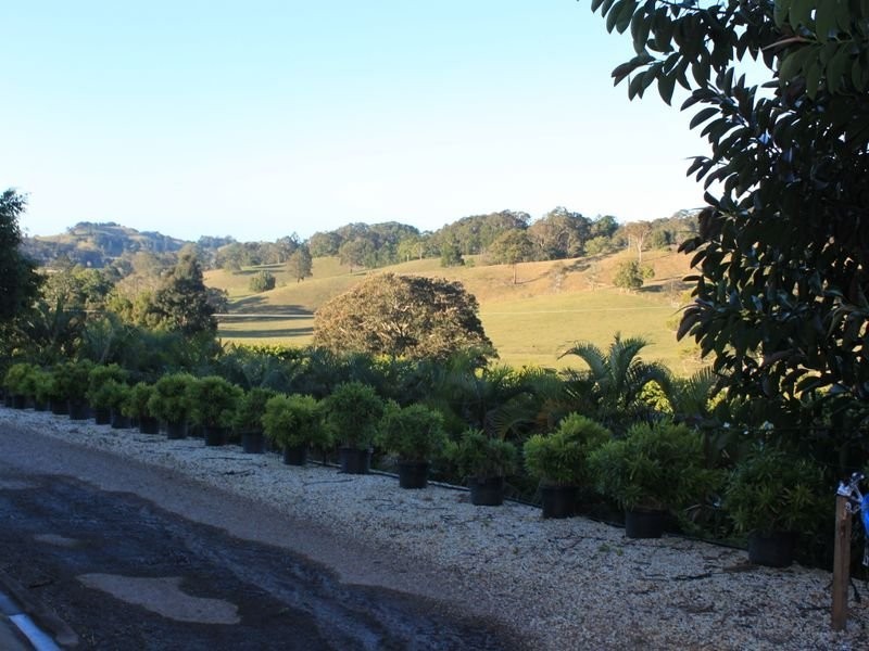 1172 Reserve Creek Road, Pottsville NSW 2489