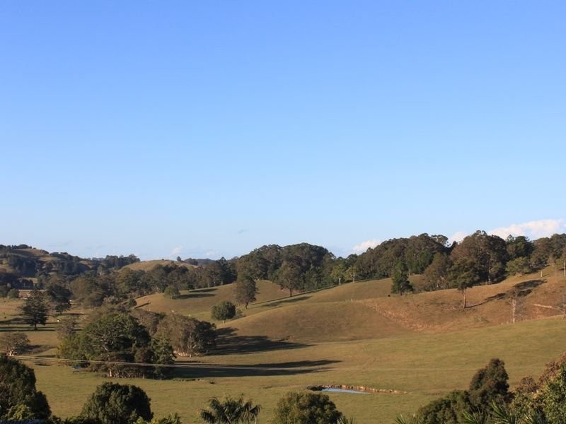 1172 Reserve Creek Road, Pottsville NSW 2489