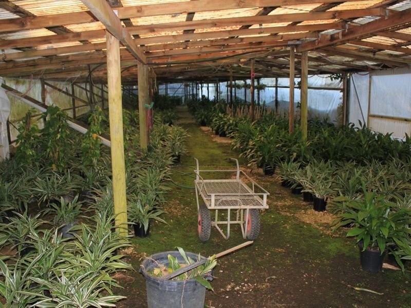 1172 Reserve Creek Road, Pottsville NSW 2489