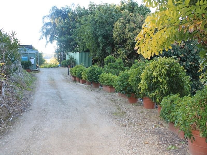 1172 Reserve Creek Road, Pottsville NSW 2489