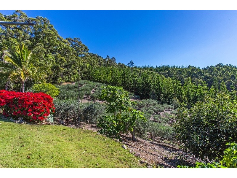 Lot 315 Pottsville/Mooball Road, Pottsville NSW 2489