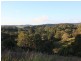 1734 Reserve Creek Road, Reserve Creek NSW 2484