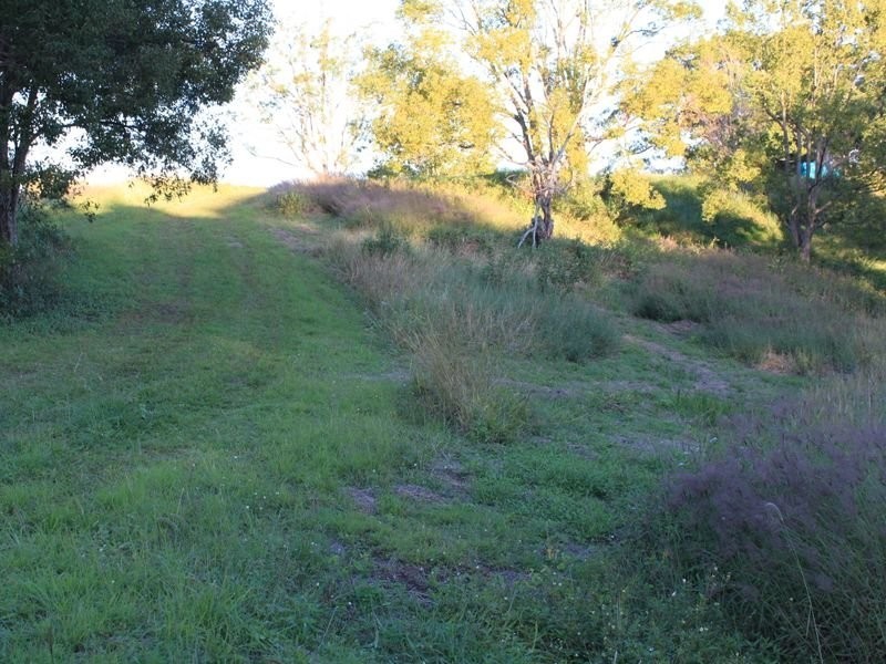1734 Reserve Creek Road, Reserve Creek NSW 2484