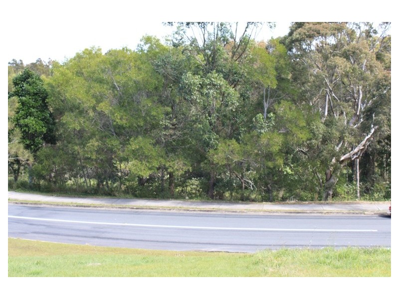 48 Macadamia Drive, Pottsville NSW 2489