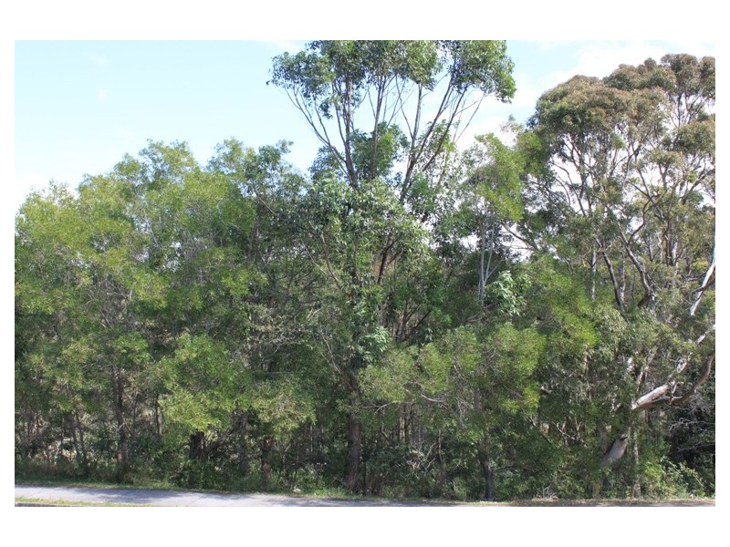 48 Macadamia Drive, Pottsville NSW 2489