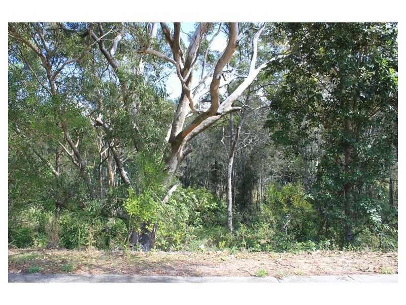 48 Macadamia Drive, Pottsville NSW 2489