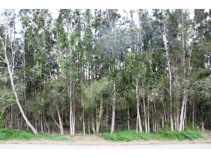 123 Overall Drive, Pottsville NSW 2489