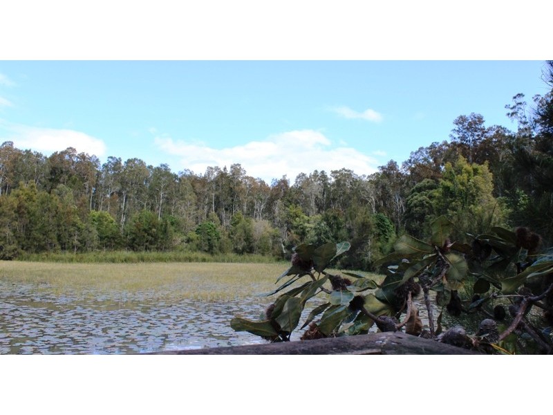 13 Brushtail Court, Pottsville NSW 2489