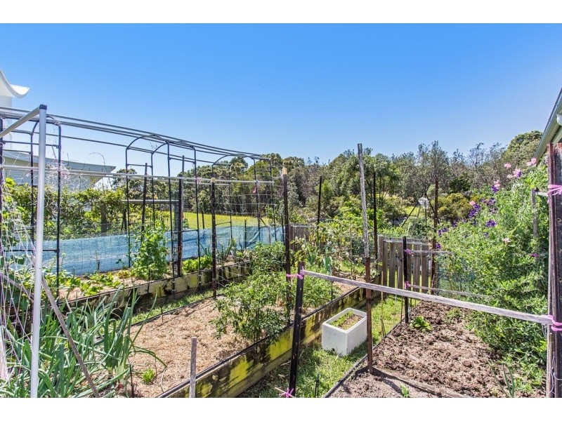 2 Melia Close, Pottsville NSW 2489