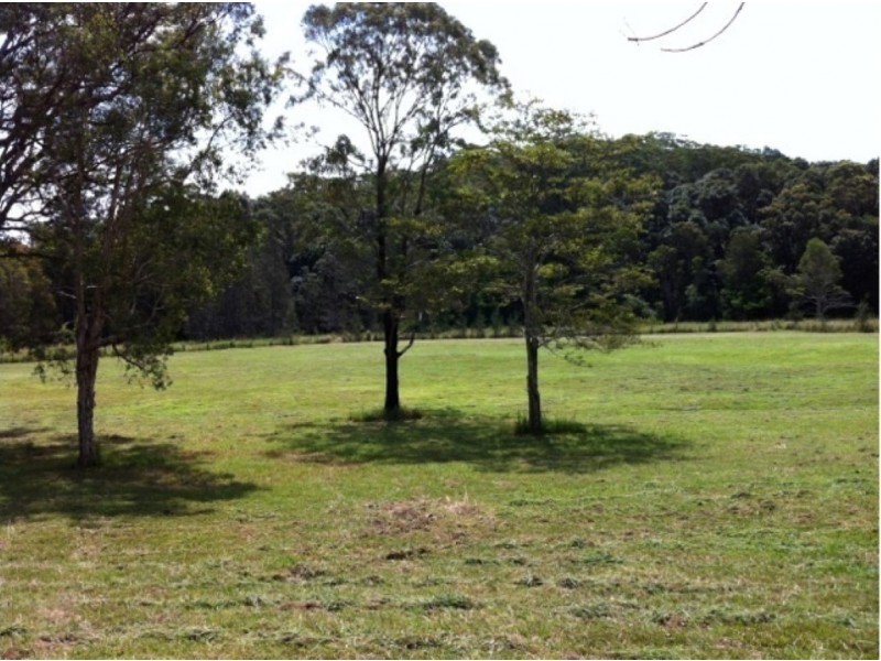 919a Lomandra Avenue, Pottsville NSW 2489