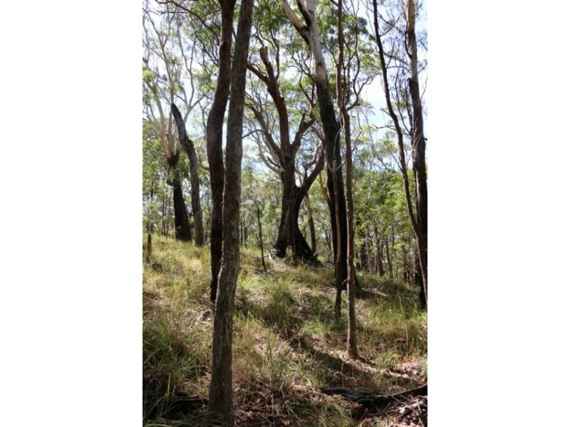 919a Lomandra Avenue, Pottsville NSW 2489