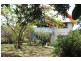 19 Creek Street, Hastings Point NSW 2489