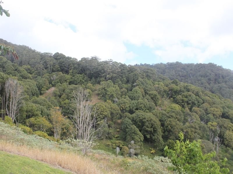 Lot 8, 108 Geles Road, Upper Burringbar NSW 2483