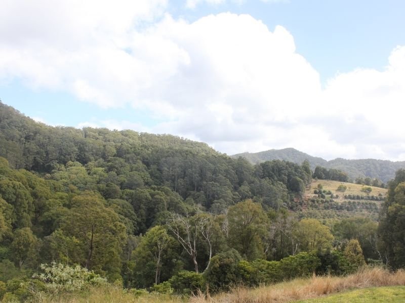 Lot 8, 108 Geles Road, Upper Burringbar NSW 2483