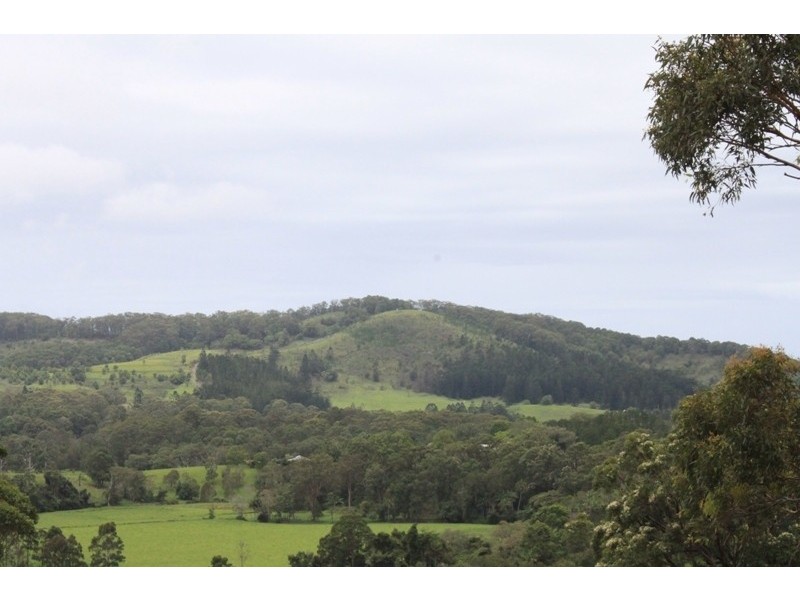 61 Kanes Road, Cudgera Creek NSW 2484