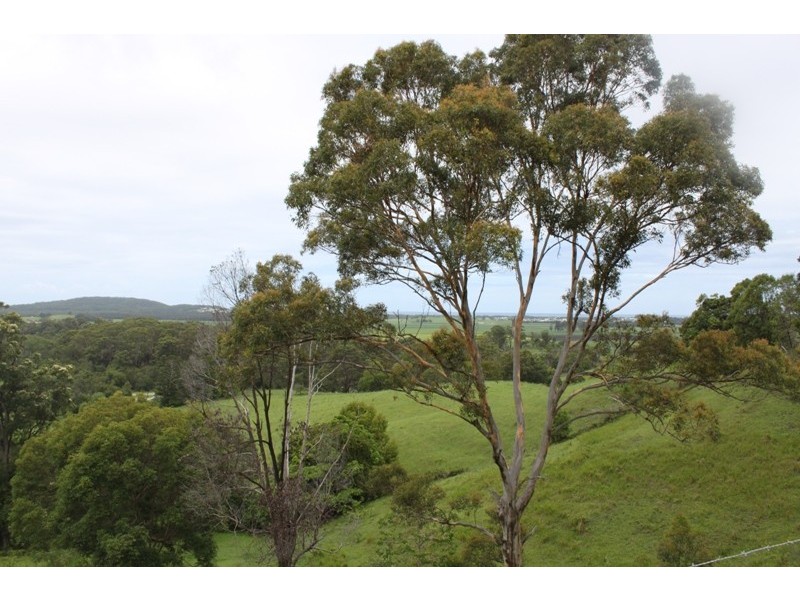 61 Kanes Road, Cudgera Creek NSW 2484