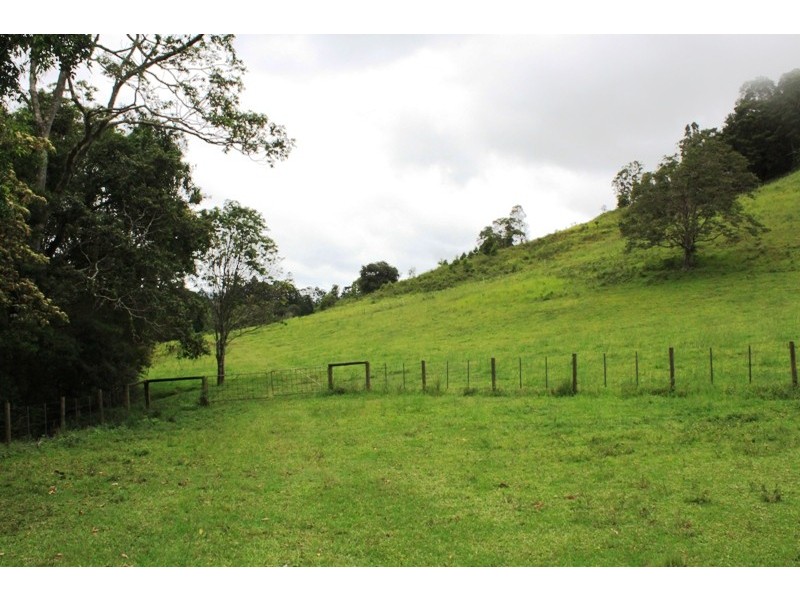 61 Kanes Road, Cudgera Creek NSW 2484