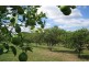 76 Howards Road, Burringbar NSW 2483