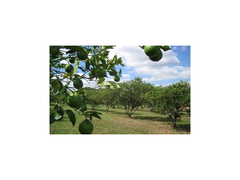 76 Howards Road, Burringbar NSW 2483