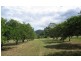 76 Howards Road, Burringbar NSW 2483