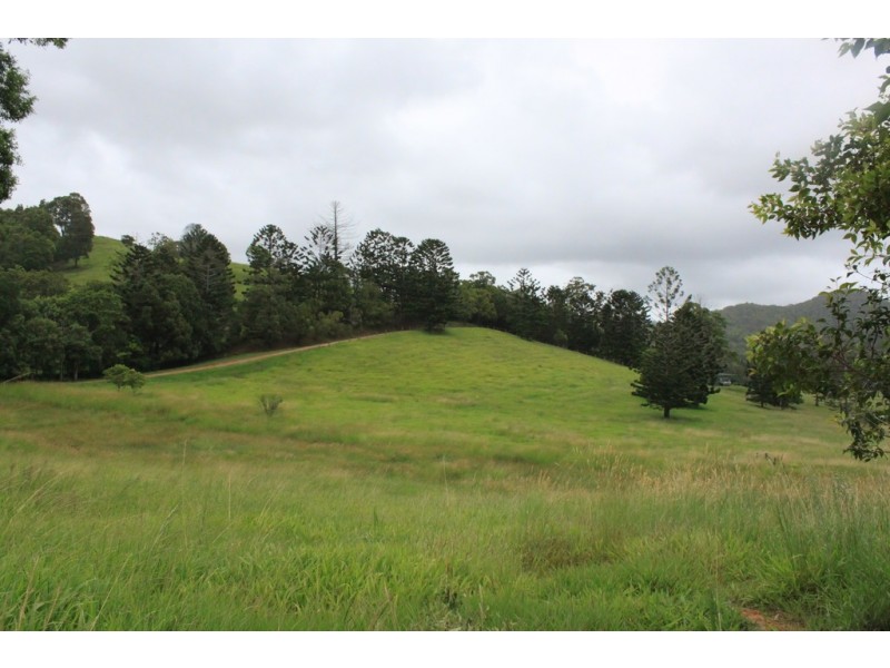 946 Cudgera Creek Road, Cudgera Creek NSW 2484