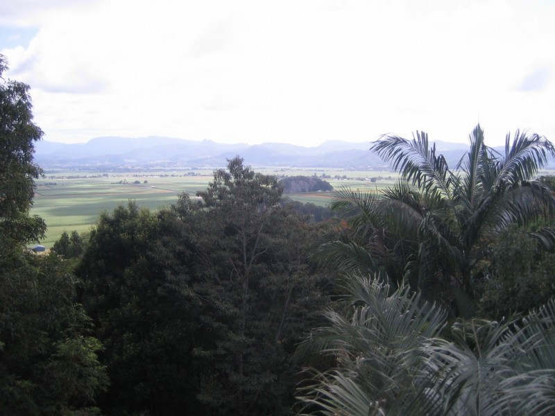 83 Farrants Hill Road, Farrants Hill NSW 2484