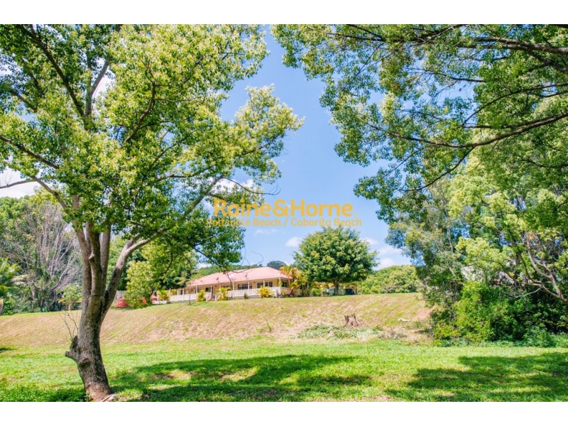 64 Ophir Glen Road, Burringbar NSW 2483