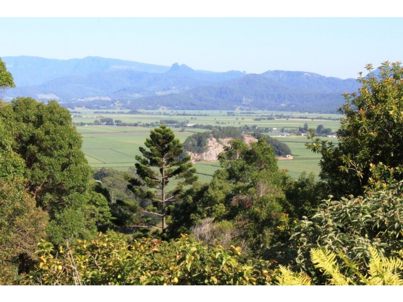 109 Farrants Hill Road, Condong NSW 2484