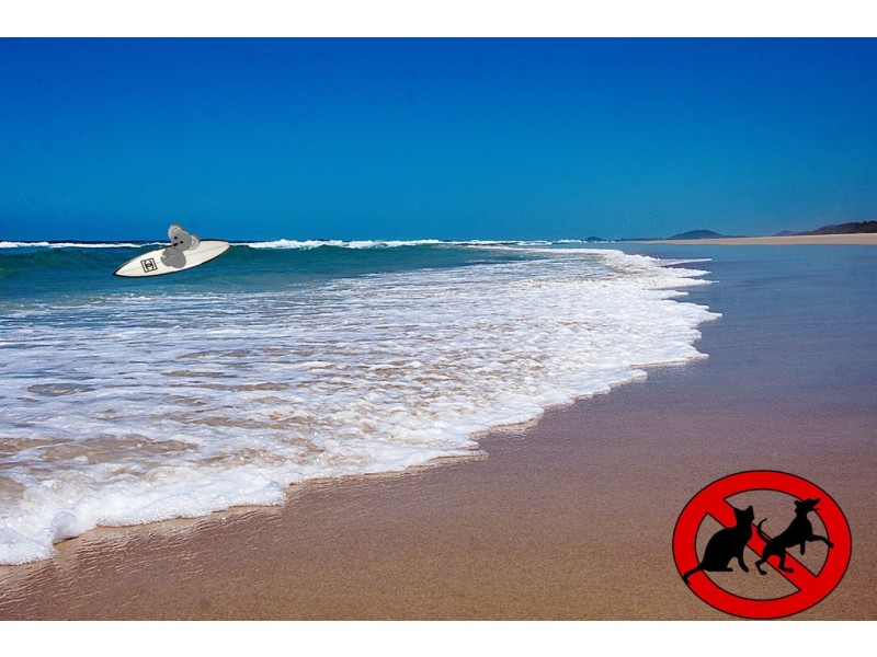 Lot 546 Echidna Street, Pottsville NSW 2489