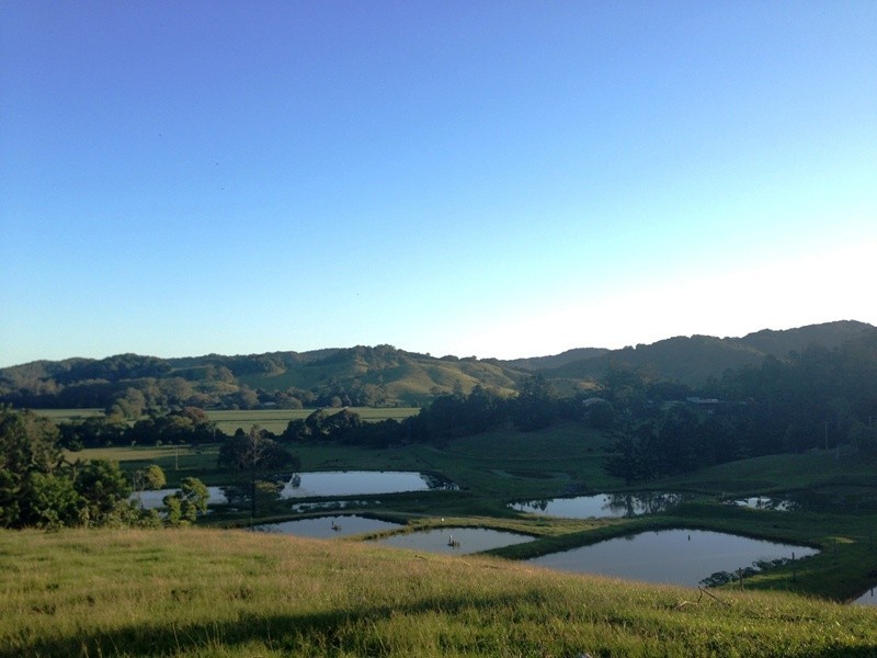 145-147 Pottsville Road, Mooball NSW 2483