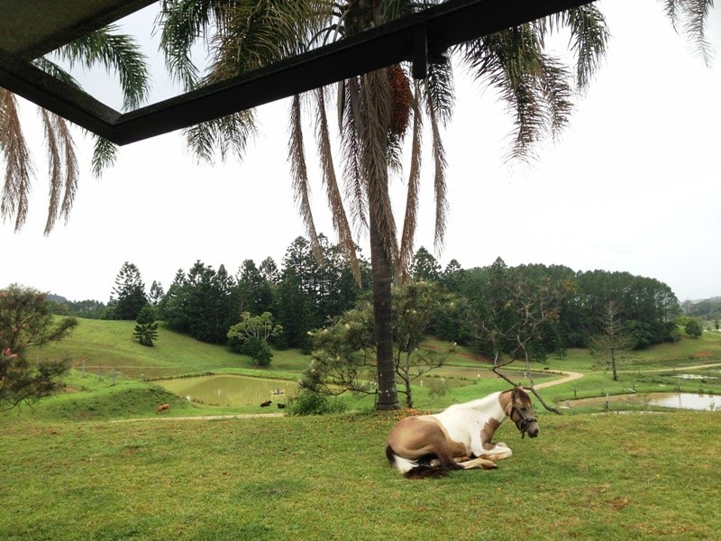 145-147 Pottsville Road, Mooball NSW 2483