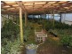 1172 Reserve Creek Road, Hastings Point NSW 2489