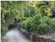 1172 Reserve Creek Road, Hastings Point NSW 2489