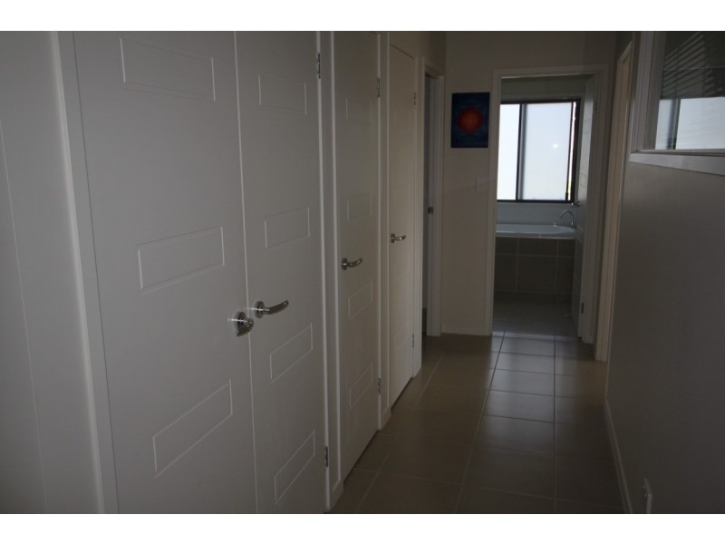 16 Euodia Avenue, Pottsville NSW 2489